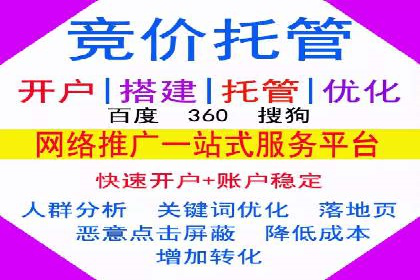 百度推广实战攻略：案例与技巧